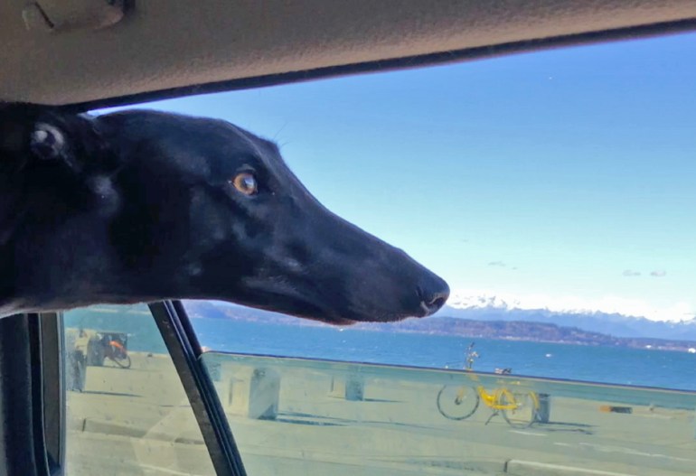 Jasmine Alki first time