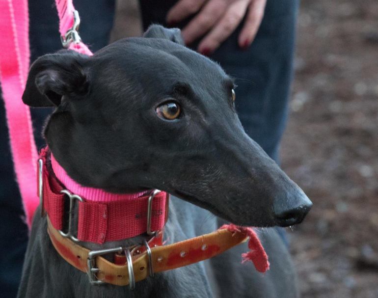 Nancy arrives from Colorado close